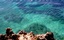 Bleaching Threatens Caribbean Coral Reefs